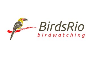 Birds Rio